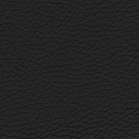 Leder Schwarz