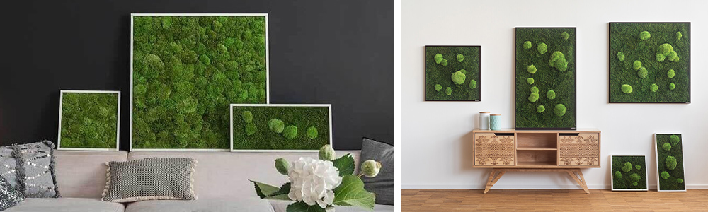stylegreen-moosbild-banner-1