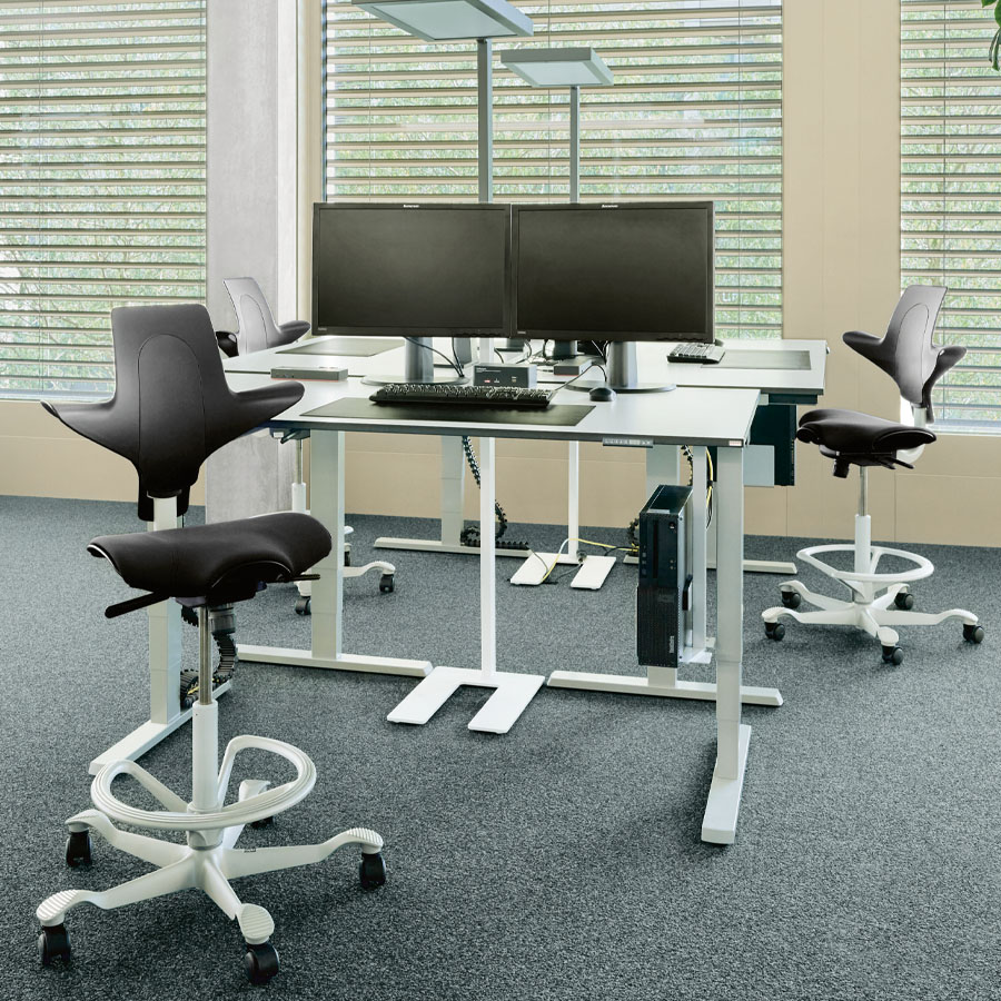 HAG Capisco Puls 8020 mit Fußring - Beispielbild