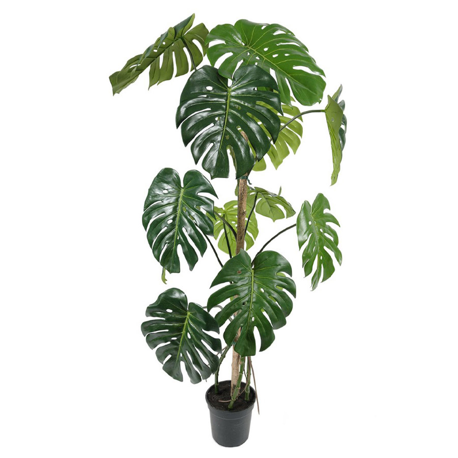 Götessons Kunstpflanze Monstera 1500 mm