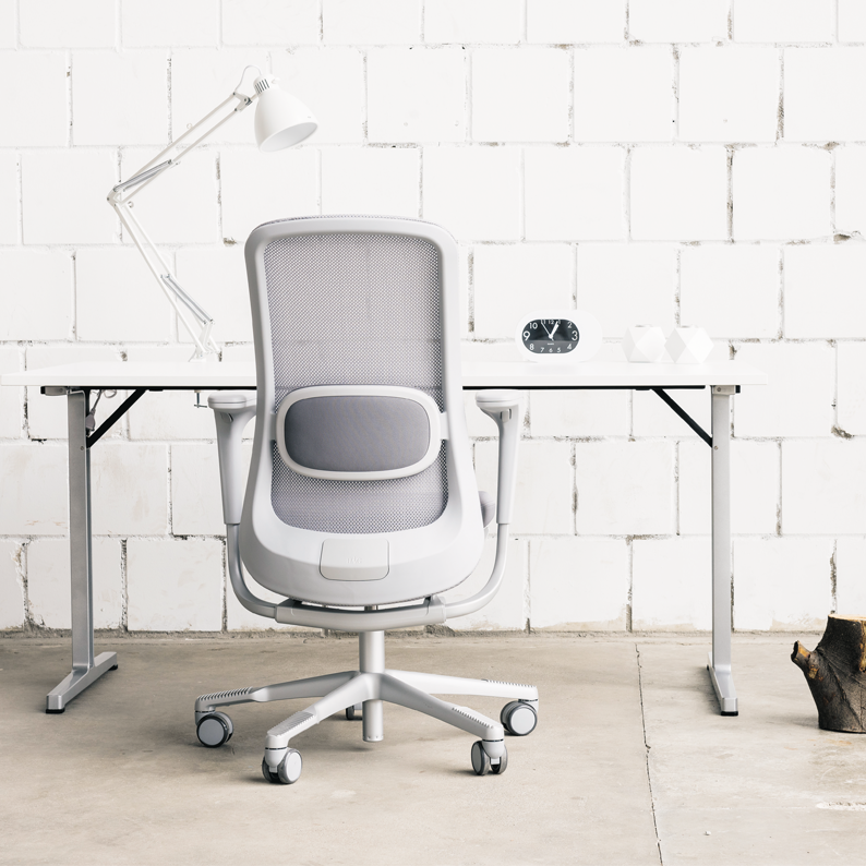 HAG SoFi Mesh - Beispielbild