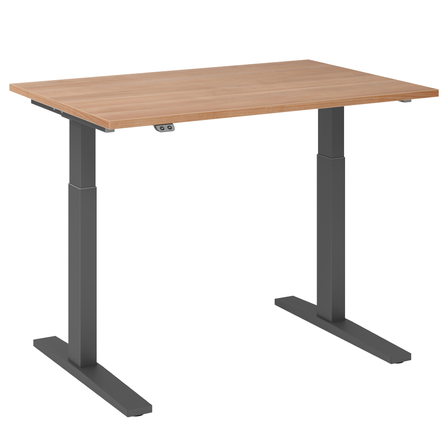 RWH Action Schreibtisch elektrisch verstellbar - Nussbaum - Breite 120 cm