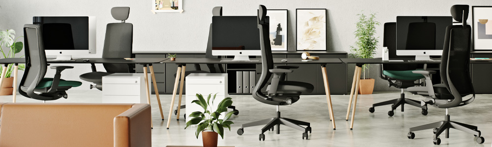 Banner-Profim-AccisPro-schwarz