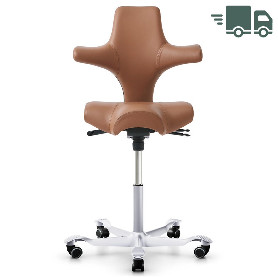 HAG CAPISCO 8106 | Stehhilfe | Leder Paloma Sonderfarbe natur | Gestell silber