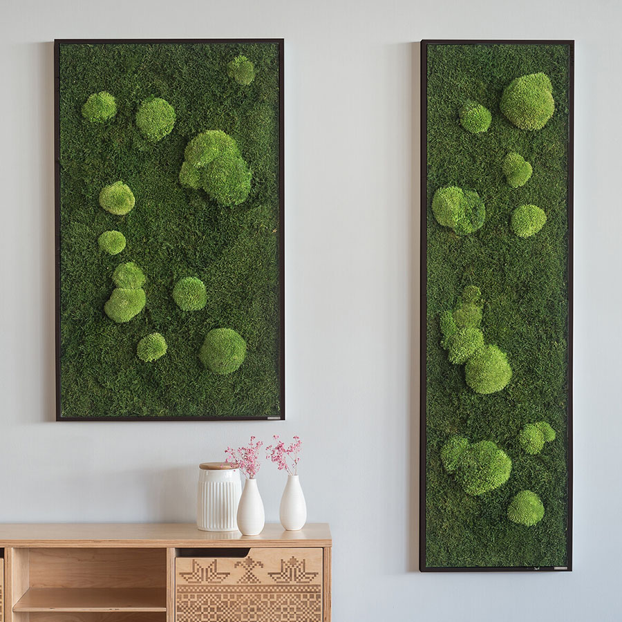 Moosbild im Wald- und Kugelmoosdesign | Beispielbild