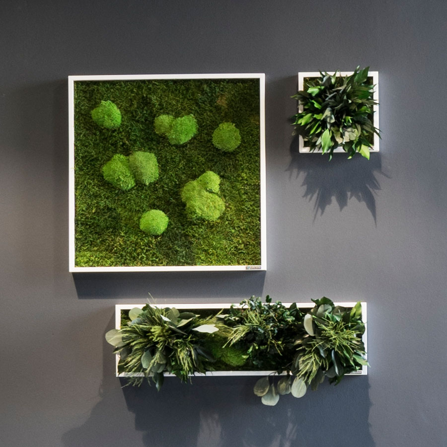 Moosbild im Wald- und Kugelmoosdesign | Beispielbild