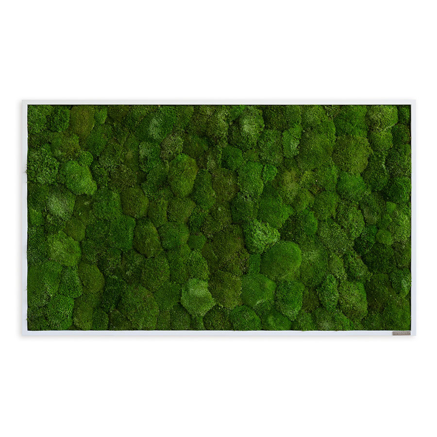 Moosbild im Kugelmoosdesign | 100x60cm | Vollholz Rahmen weiß