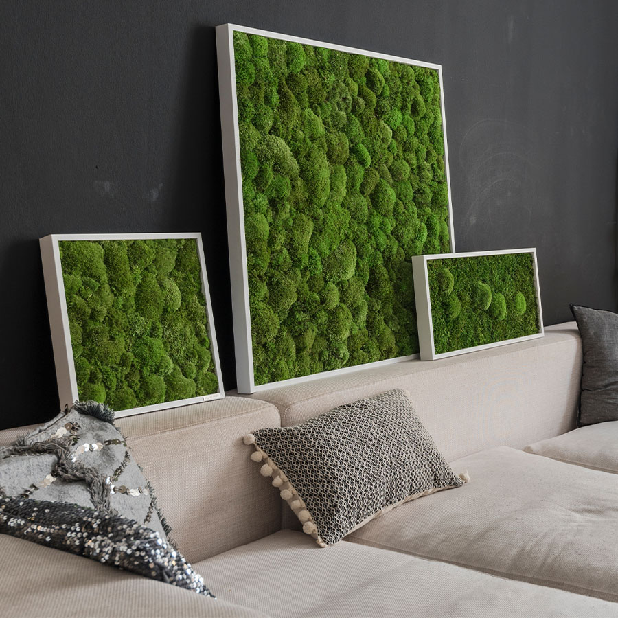 Moosbild im Kugelmoosdesign | Beispielbild