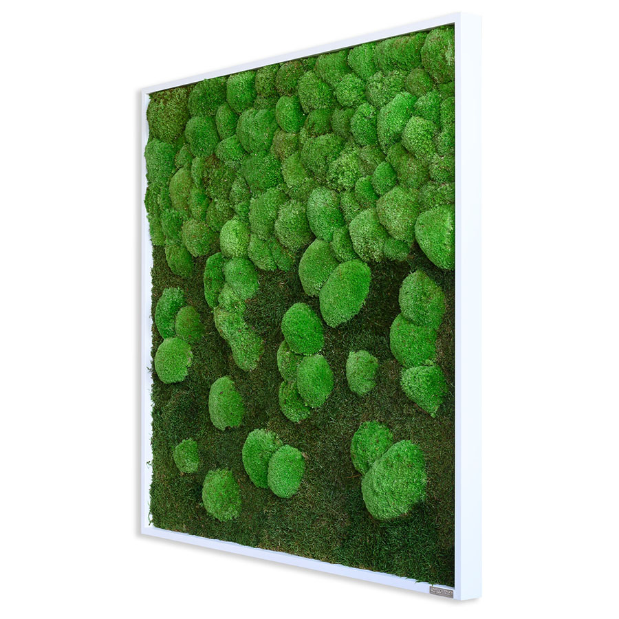 Moosbild im Wald- und Kugelmoosdesign mit Verlauf | 100x60cm | Vollholz Rahmen weiß