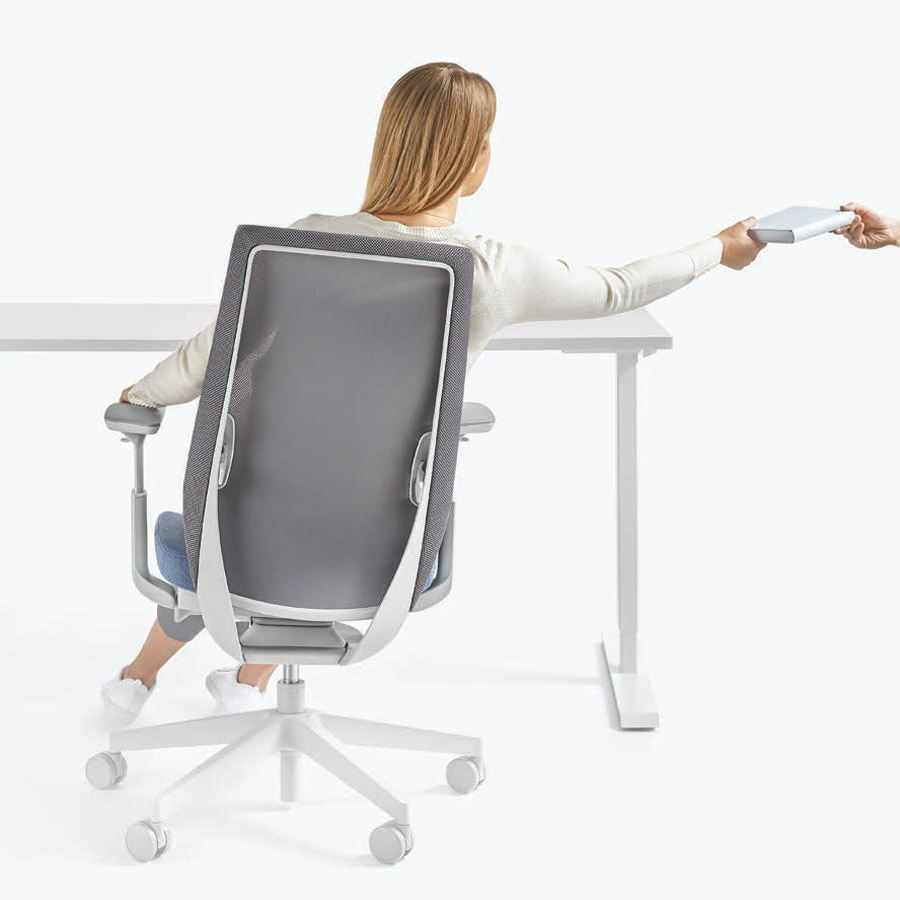 Profim AccisPro mit Netzrücken grau Beispielbild