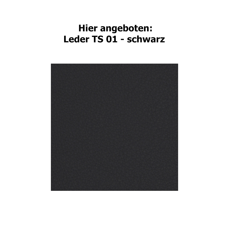 Hier angeboten - Leder TS 01 - schwarz