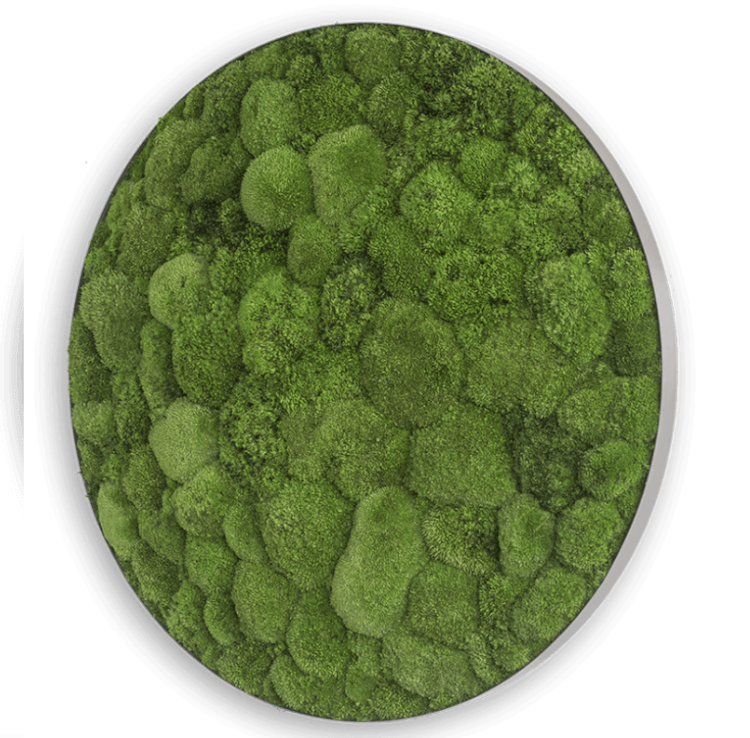 styleGREEN MOOSBILD: KUGELMOOS-ELLIPSOID 80 cm