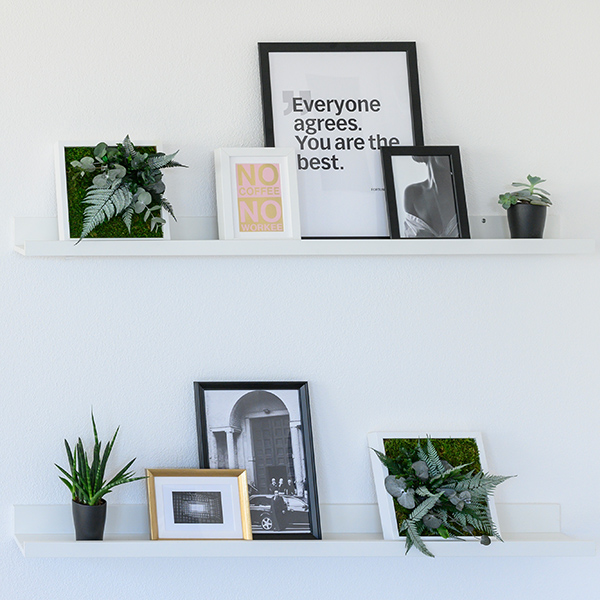 stylegreen Pflanzenbilder Beispielbild