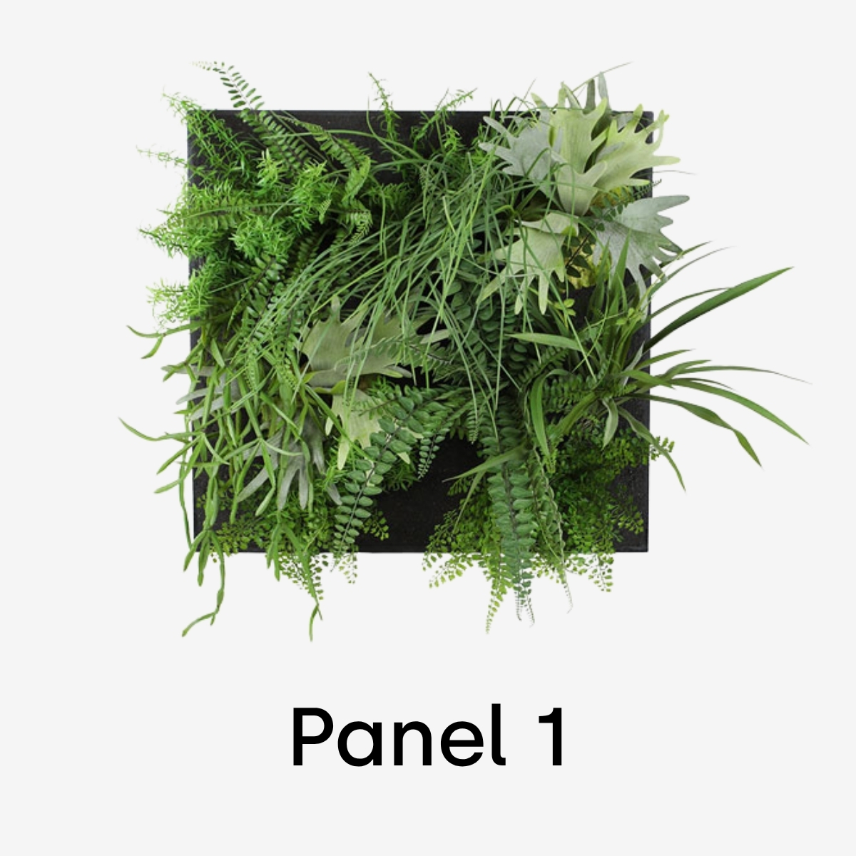 Götessons Flora Panel | Pflanzenwand | verschiedene Ausführungen