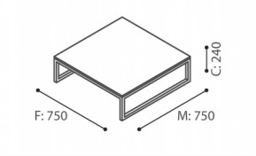 Masse-Bejot-PLINT-Couchtisch-niedrig