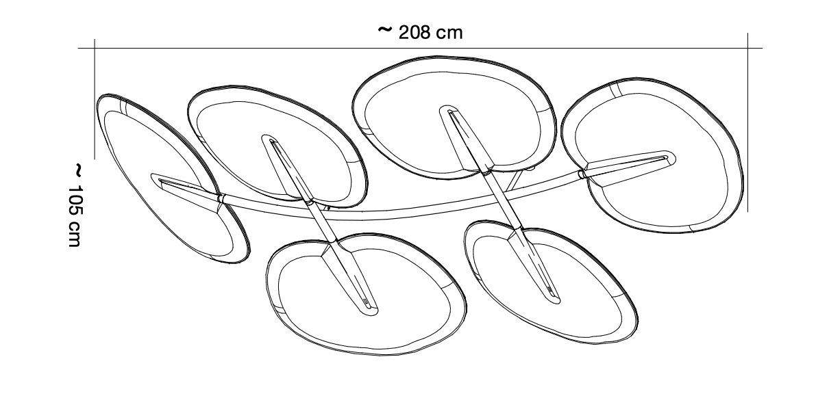 CaimiBotanica-TechnischeZeichnung