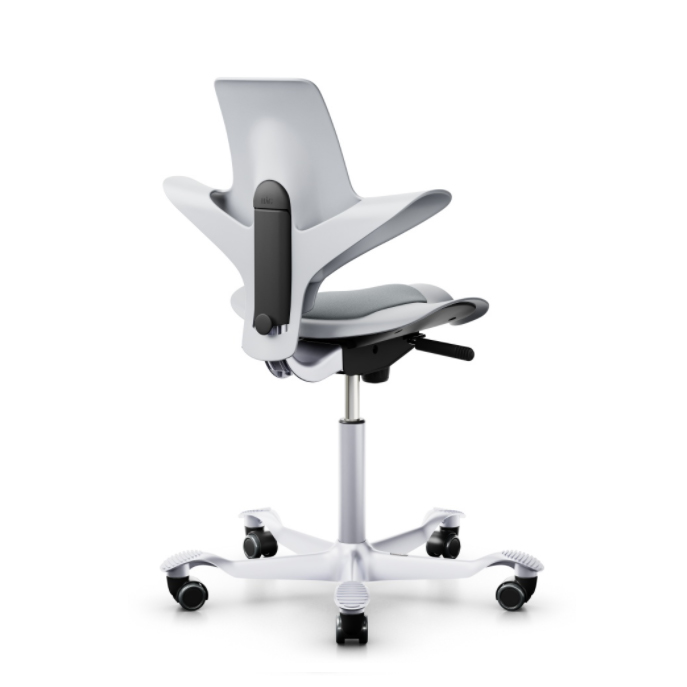 HAG Capisco Puls 8010 grau mit Kissen grau Gestell silbergrau