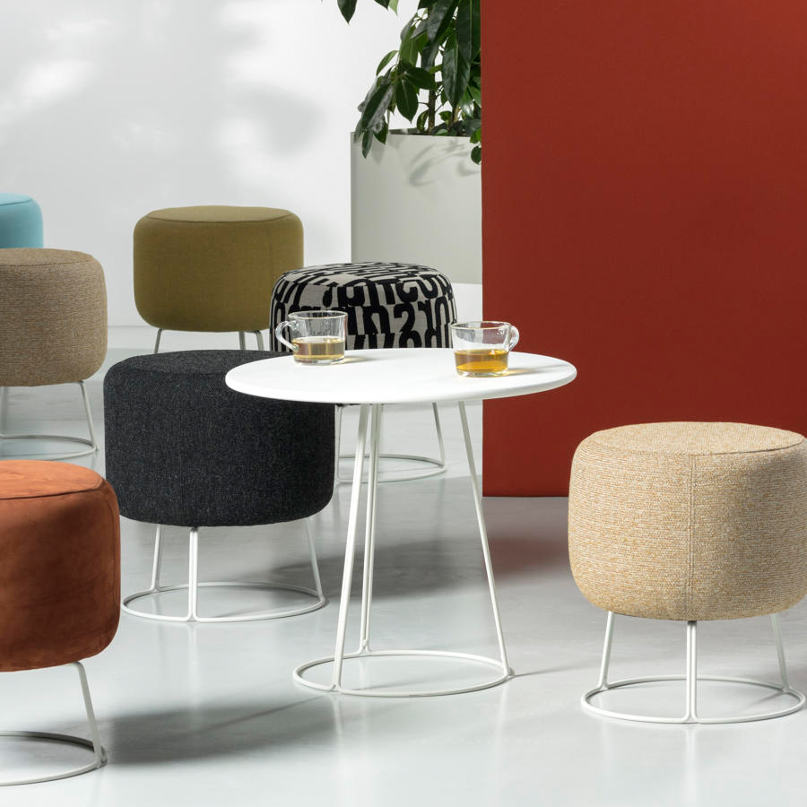 Cascando Paddy Tisch