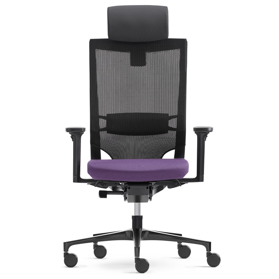 Klöber Duera (due89) mit Netzrücken und Lordosenstütze