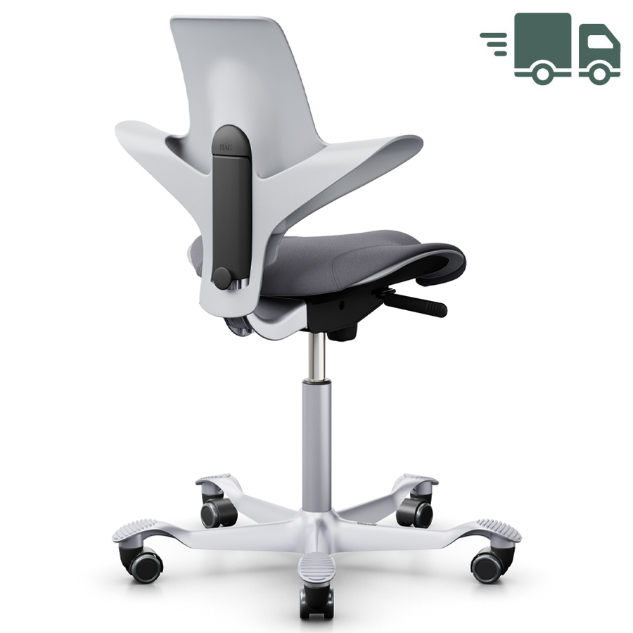 HAG CAPISCO PULS 8020 hellgrau | Stoff Xtreme 081 grau | Gestell silber