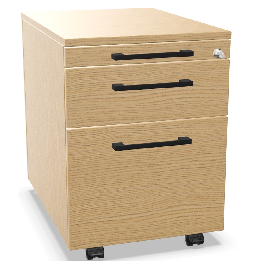 Palmberg Orga Plus Container Eiche Griffe schwarz