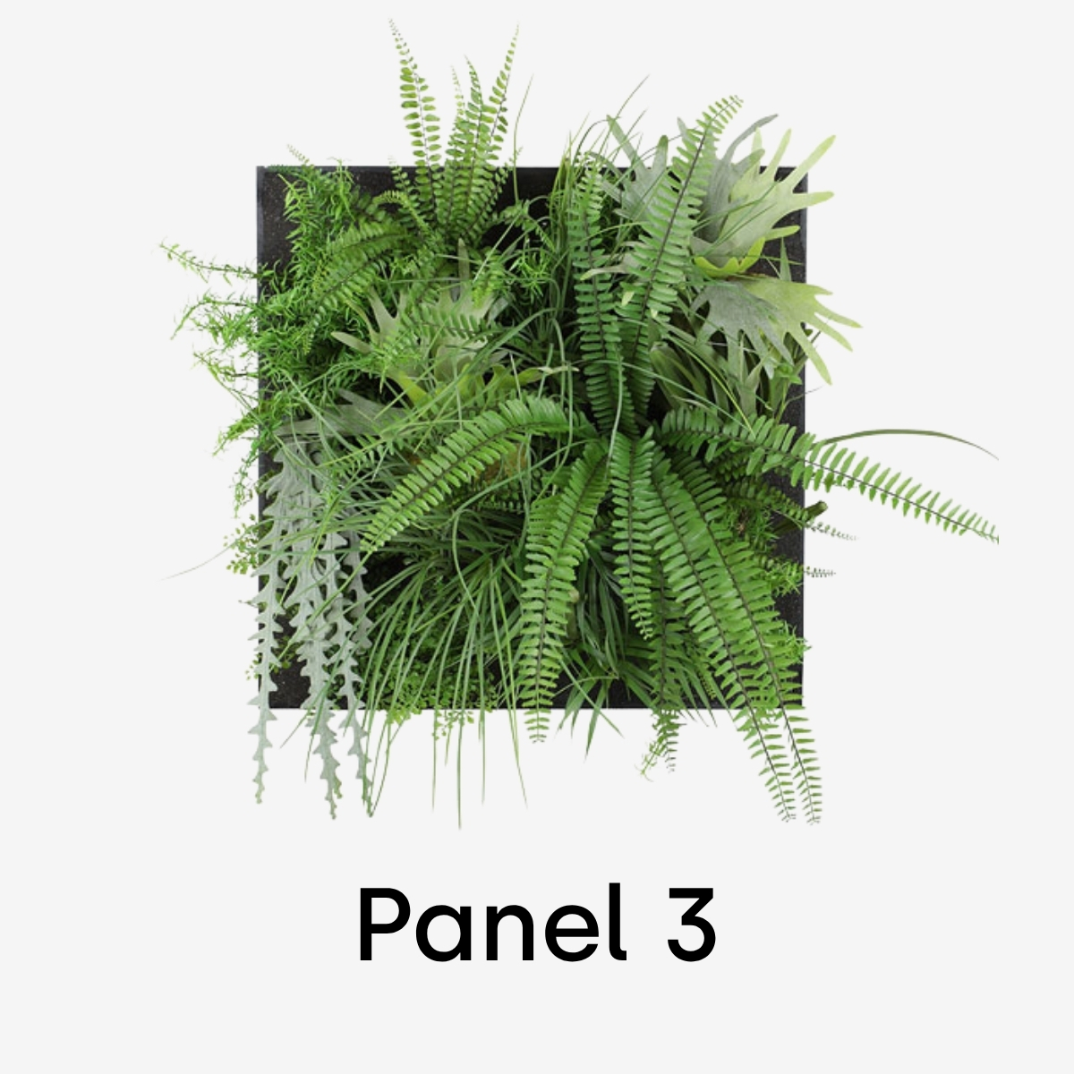 Götessons Flora Panel | Pflanzenwand | verschiedene Ausführungen