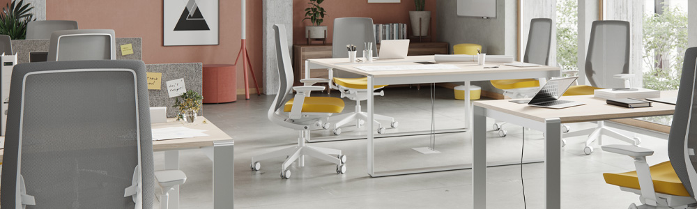 Banner-3Y2yo1YY6wx3ut