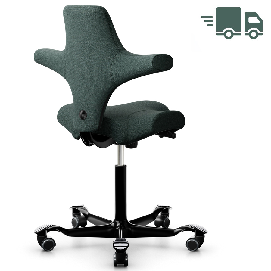 HAG CAPISCO 8106 - Stoff Capture 6601 - Gestell schwarz - Rückansicht