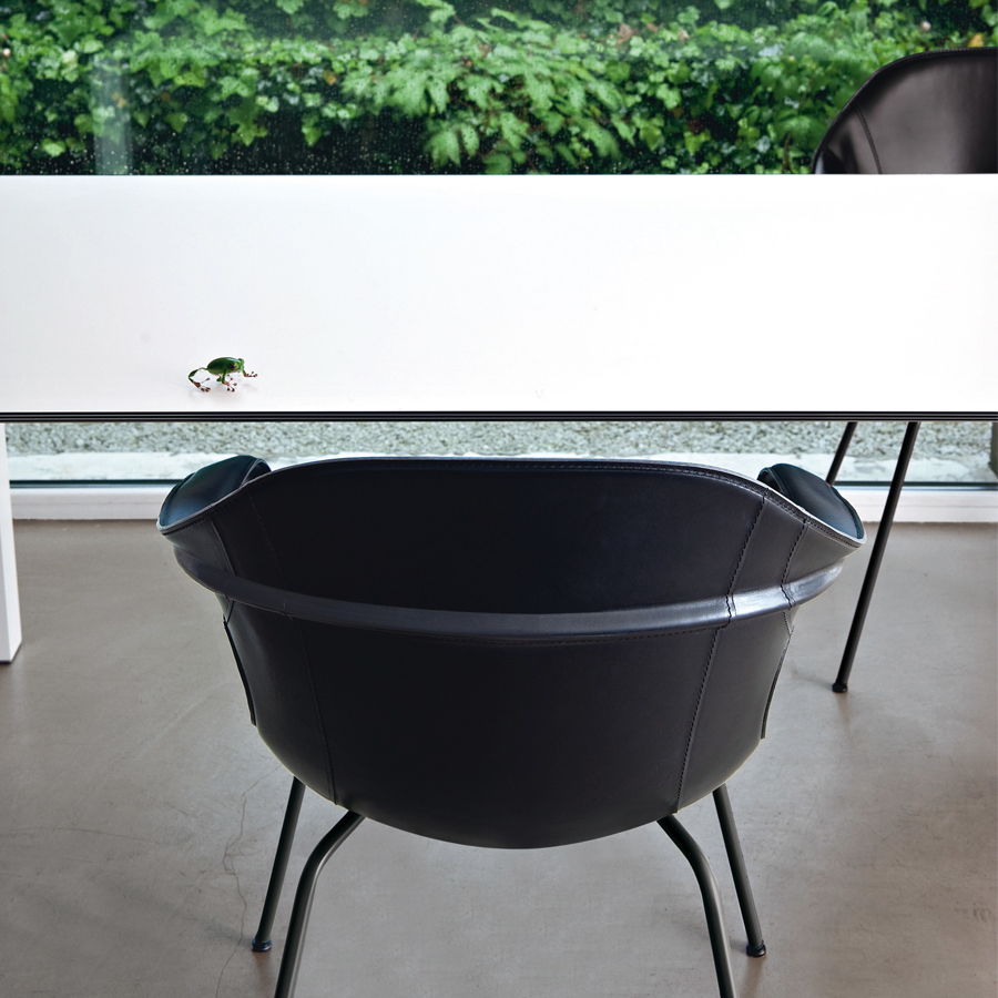 Leder vollnarbig schwarz PF21