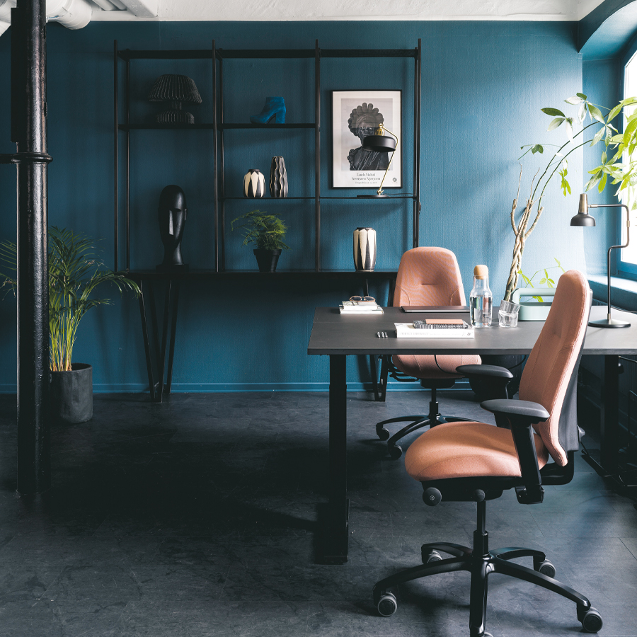 RH Mereo 300 hohe Rückenlehne - Beispielbild