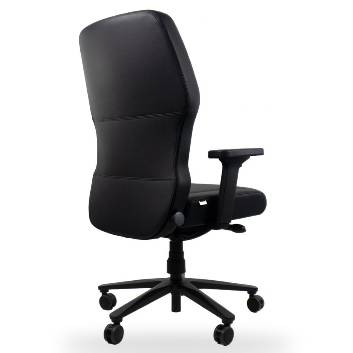 Interstuhl XXLis5 XL117 - Material Leder schwarz 2