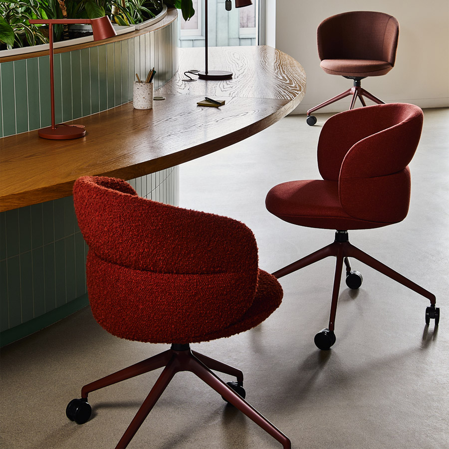 Noti Ekori Drehgestell 4-Arm mit Rollen Beispielbild