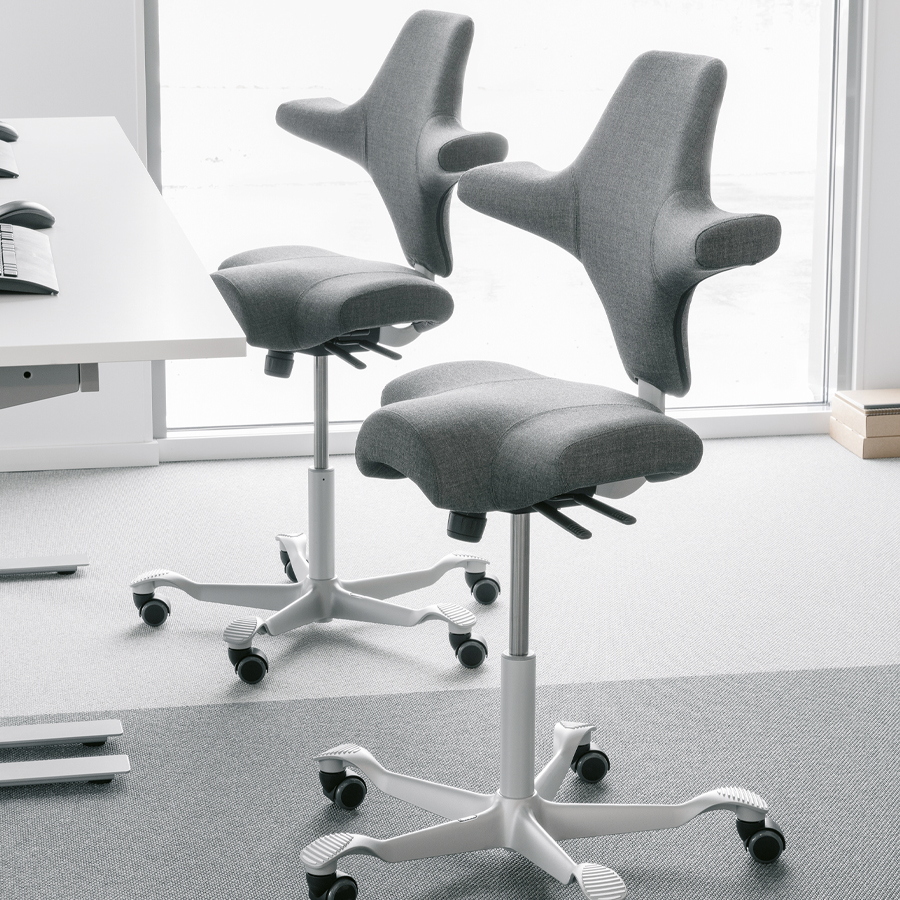 HAG CAPISCO 8106 Stehhilfe mit hoher 265 Gasfeder - Beispielbild