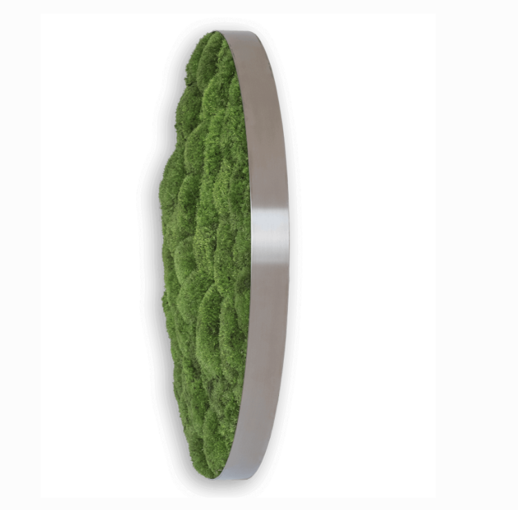 styleGREEN MOOSBILD: KUGELMOOS-ELLIPSOID 80 cm