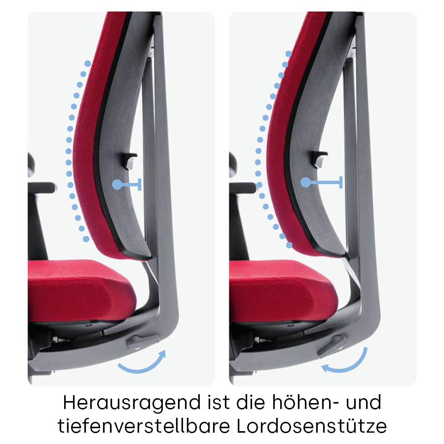 Lordosenstütze in Höhe und Tiefe einstellbar