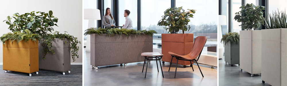 BannerPflanzenbox-Gotessons