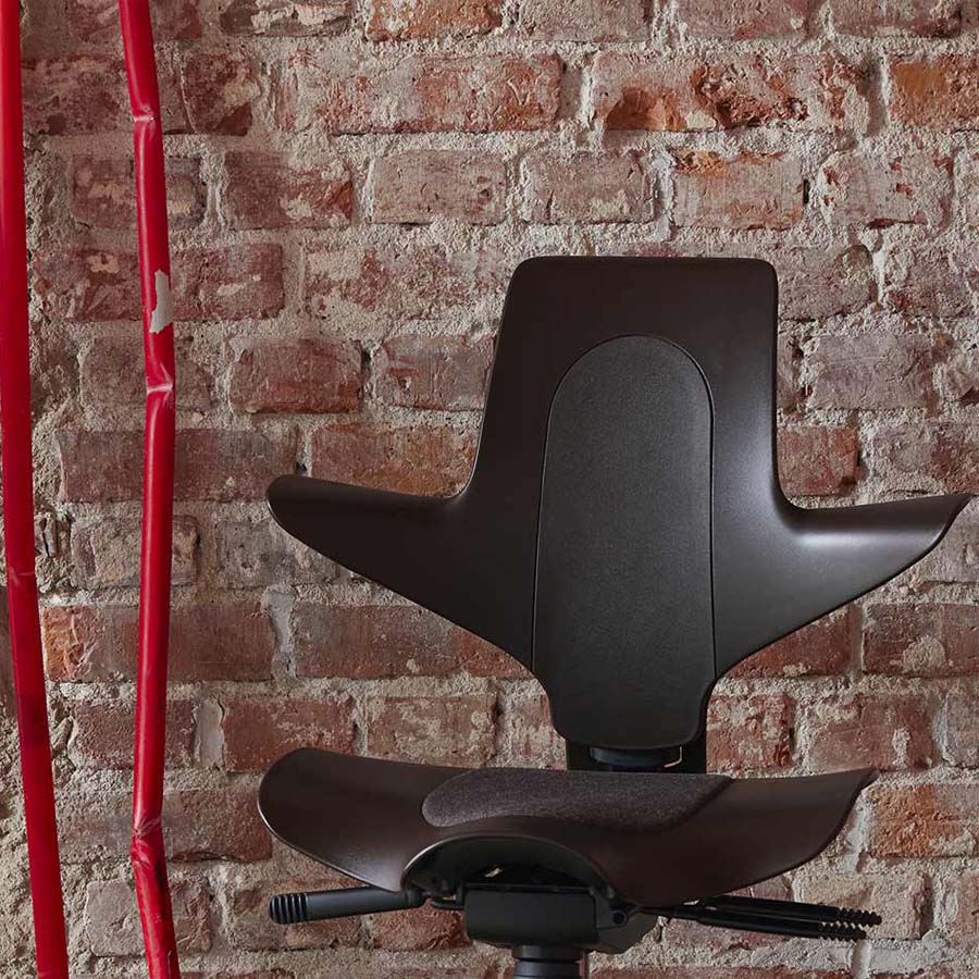 HAG CAPISCO PULS 8010 braun - Beispielbild