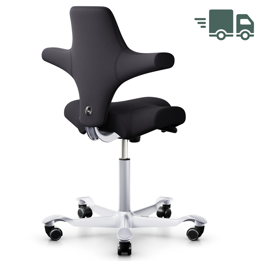 HAG Capisco 8106 Xtreme dunkelgrau Gestell silber von hinten