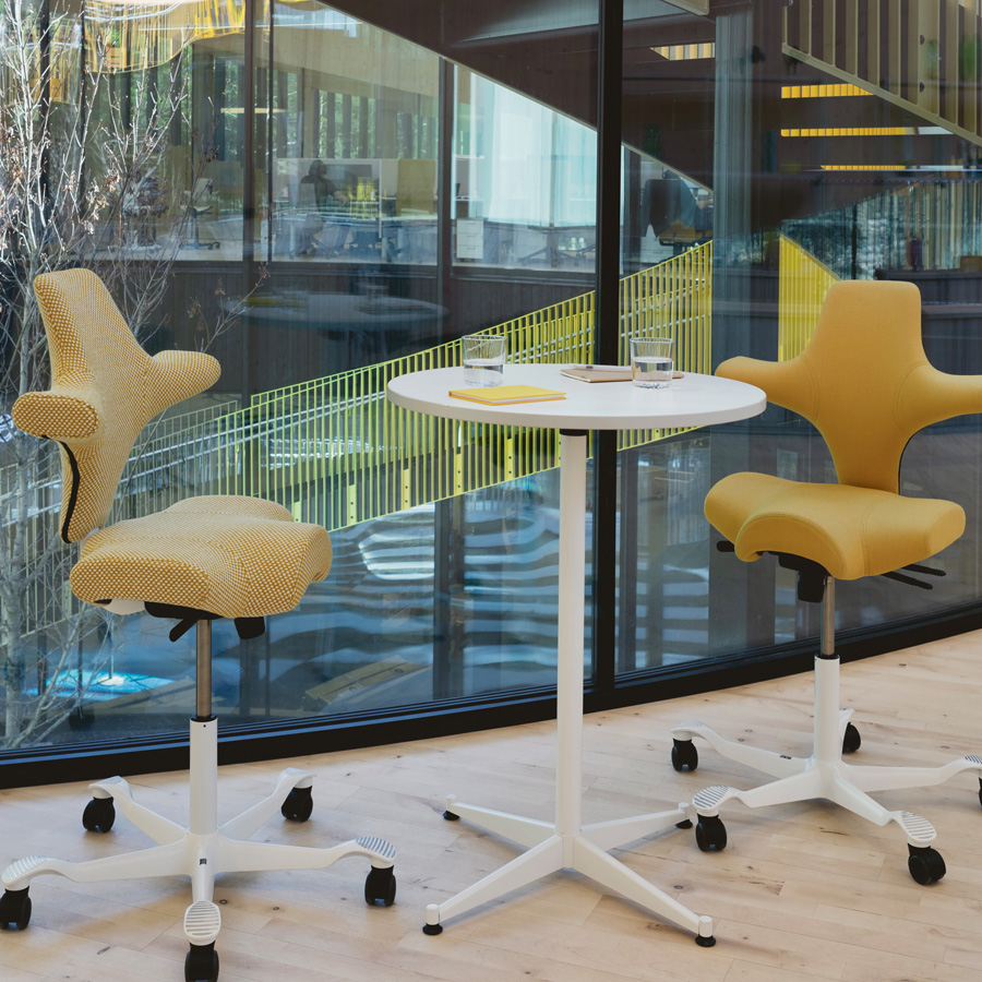 HAG Capisco 8106 mit Designstoff Sisu