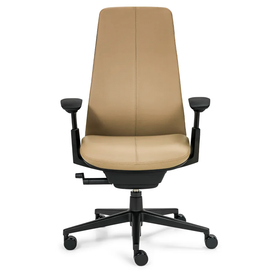 HAWORTH Fern Leder 1126 - Kunststoffteile schwarz - Gestell Alu schwarz - Front