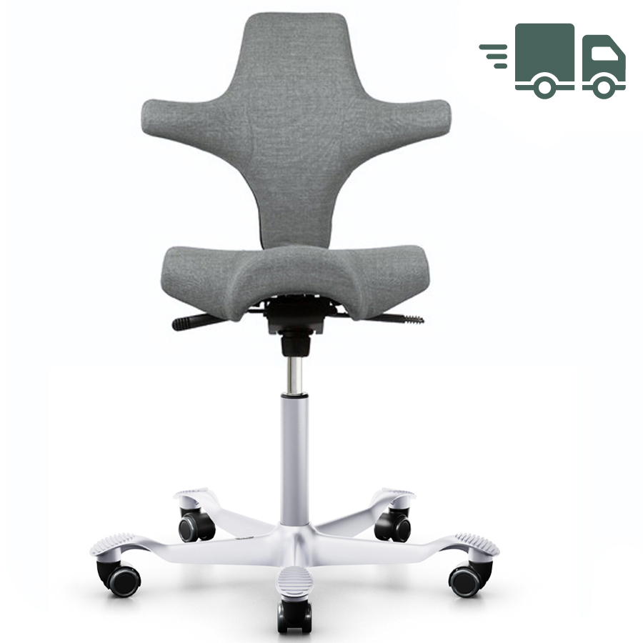 HAG Capisco Remix hellgrau - Gestell silber