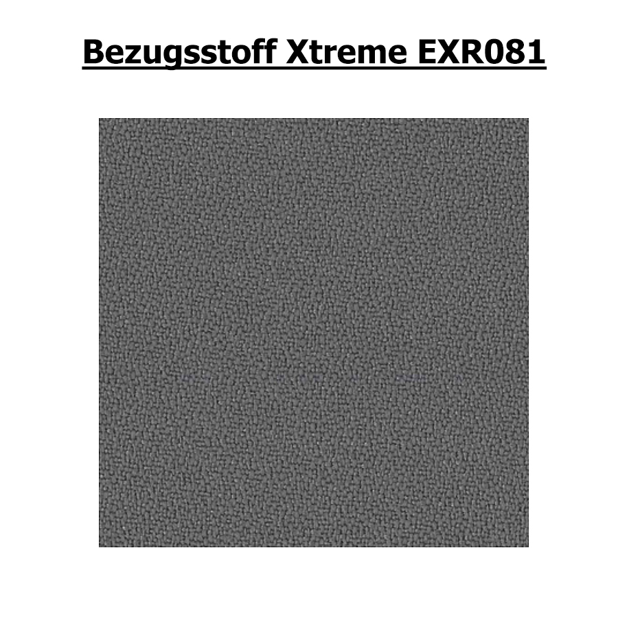Bezugsstoff Xtreme 081 grau