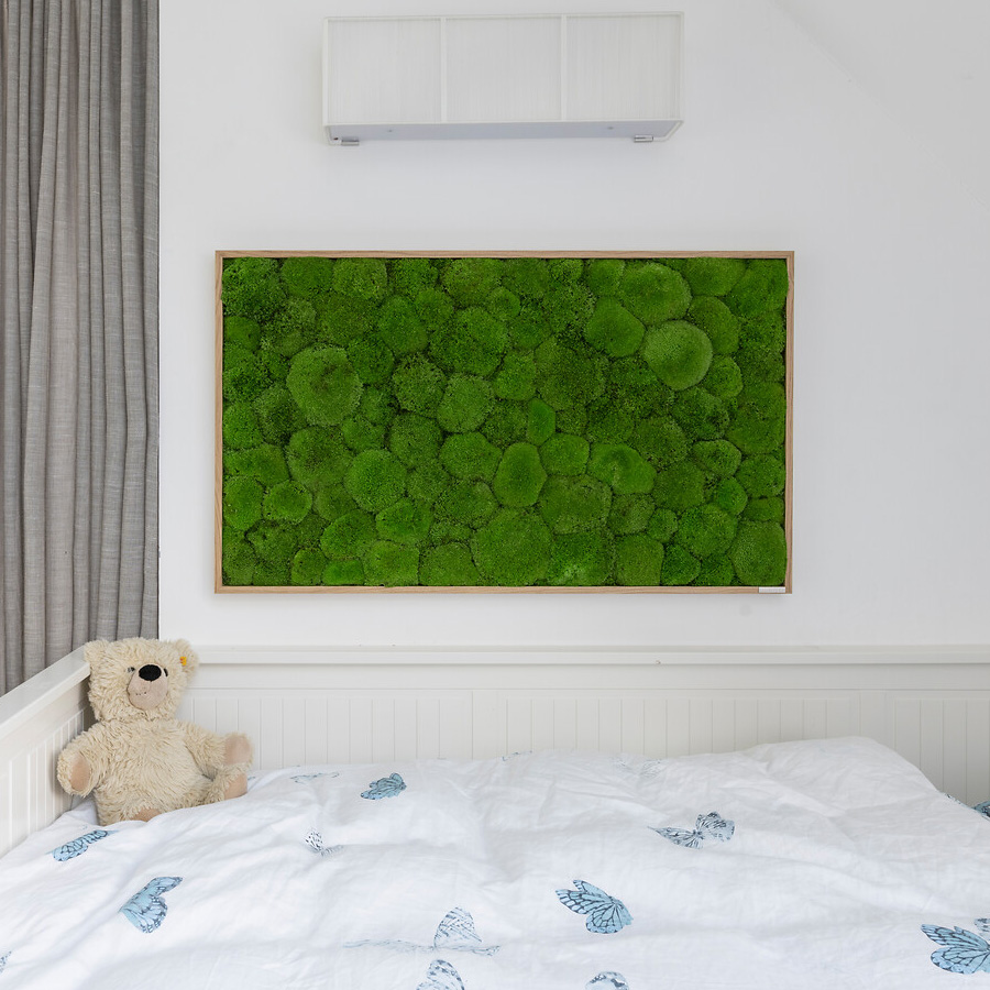Moosbild im Kugelmoosdesign | 100x60cm | Vollholz Rahmen weiß