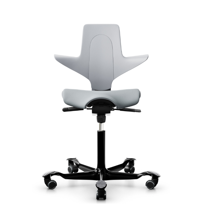 HAG Capisco Puls 8020