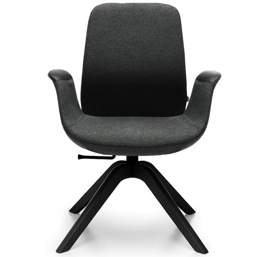 Profim ElliePro 20HW Bezug Synergy Anthrazit - Holzgestell schwarz