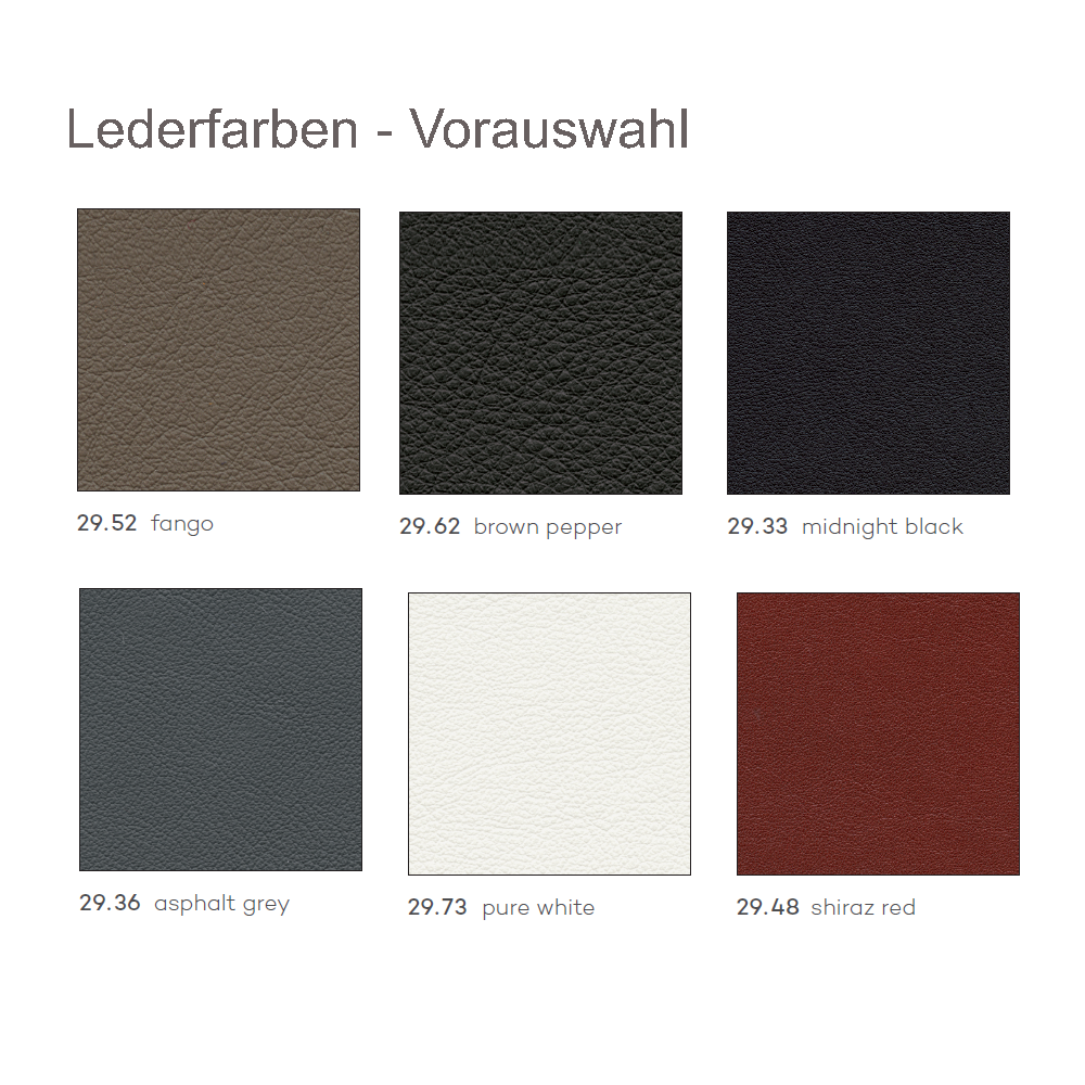 Lederauswahl Züco Perillo - Vorauswahl