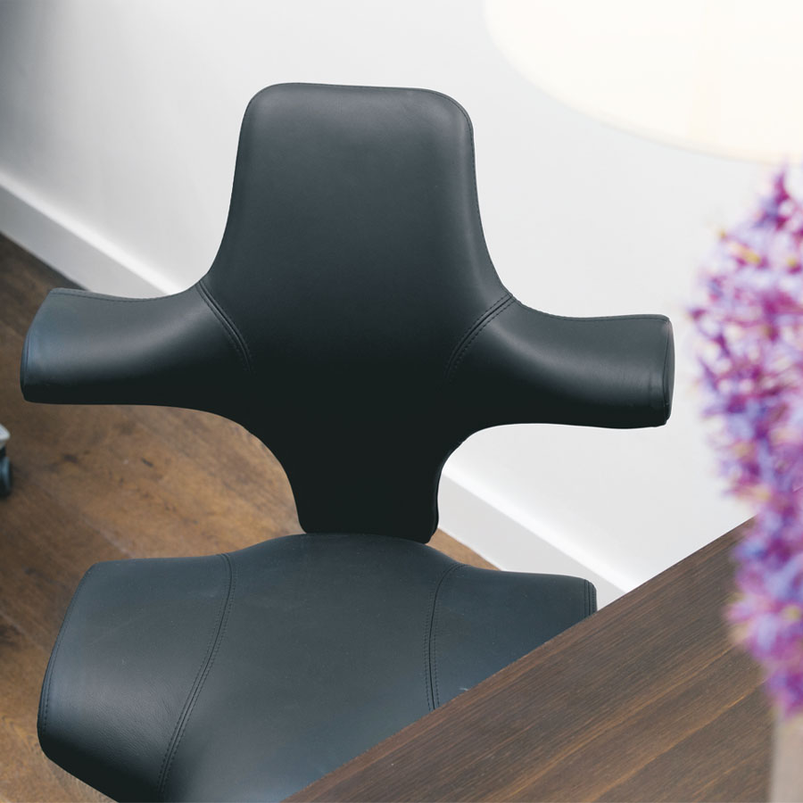 HAG CAPISCO 8106 Leder schwarz - Beispielbild