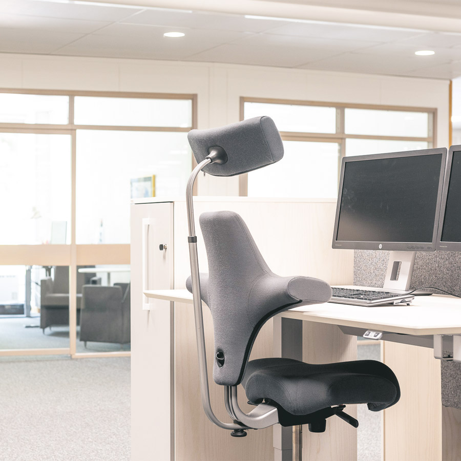 HAG Capisco 8107 - Beispielbild