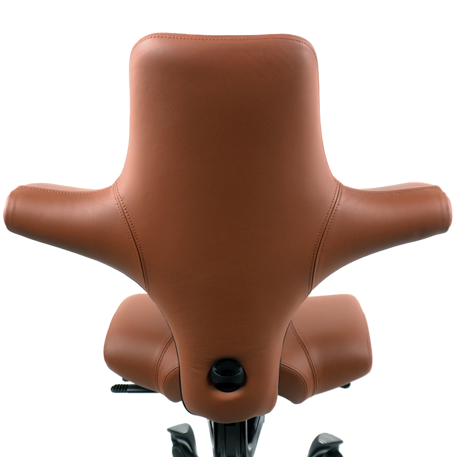 HAG Capisco 8106 - Leder Paloma Soft 5504 coffee - Nahaufnahme Rückseite