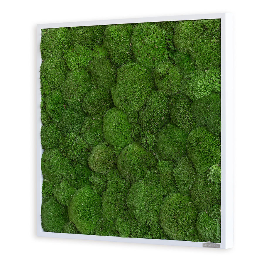 stylegreen-35x35-mooskugelbild-5